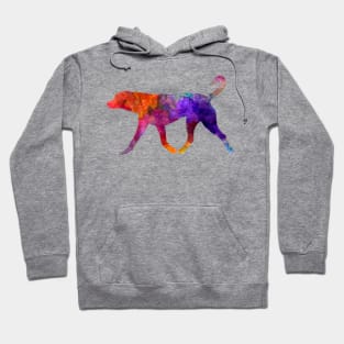 Transylvanian Hound in watercolor Hoodie